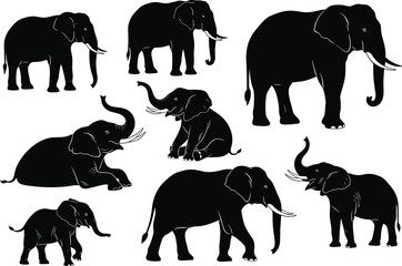 Set of elephant silhouettes in various poses. Includes walking, standing, and sitting elephants. Isolated vector collection of wild animals.
