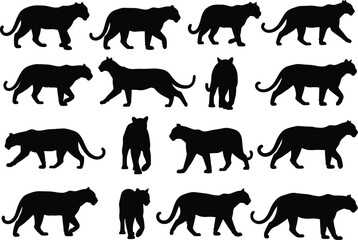 Big cat silhouettes vector set, including panther, leopard, and tiger. Isolated collection of wild animals in walking and standing poses.