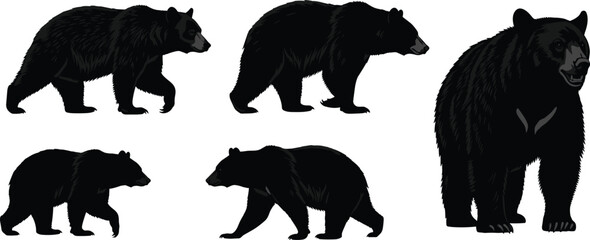 Art & IllustrationBlack bear vector set with detailed illustrations and silhouettes. Isolated collection of a wild forest animal in walking and standing poses.
