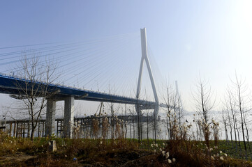 Fototapeta premium Grand Cable-Stayed Bridge Over Yangtze River, Chaokou