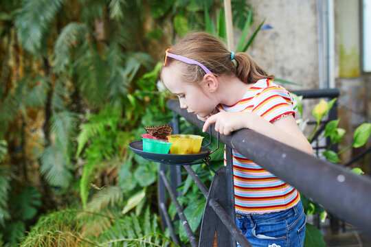 Curious young girl watching a butterfly up close in a tropical butterfly park