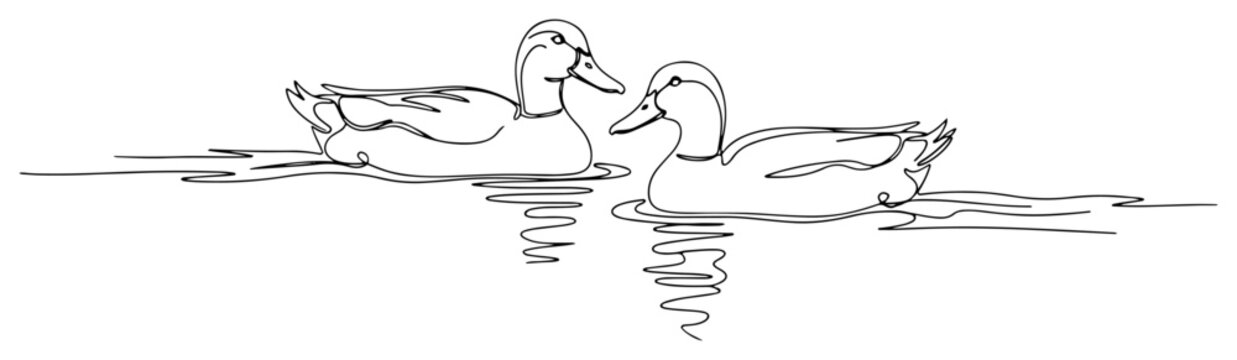 One continuous line drawing of three elegant swans swimming on a lake Graceful wild birds in minimalist one line art style vector illustration