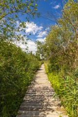 Steg im Wurzacher Ried