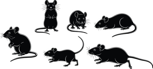 Collection of six black mouse silhouettes, rat vector icon set in different poses like standing and walking, isolated rodent pest animal graphics.
