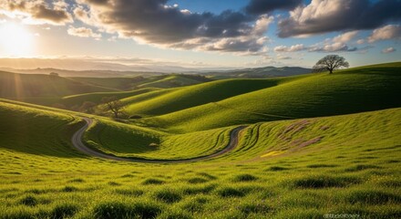 Obraz premium Golden Hour Sunlight Over Rolling Green Hills Landscape with Winding Road and Solitary Tree