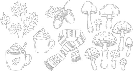 Hand-drawn doodles of Autumn elements&mdash;falling leaves, acorns, hot cocoa, cozy scarves, and mushrooms, simple line art vector