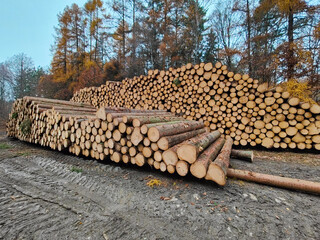 A large pile of logs sitting on top of a dirt road