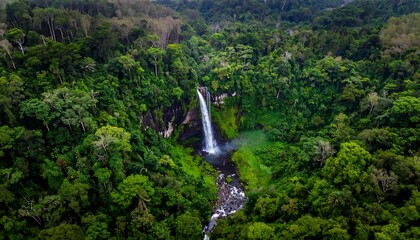 Aerial view of a tall waterfall cascading through a dense, vibrant green forest into a rocky stream below