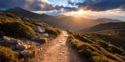 A scenic view of a sunlit mountain landscape with a winding path, showcasing lush greenery and a dramatic sky.