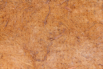 Coconut patterned latex mattress, seamless intertwined fibers