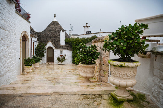 Traditional unique Trulli houses with conical stone roof in Alberobello, Puglia, Italy. White buildings and cobblestone road among green plants.