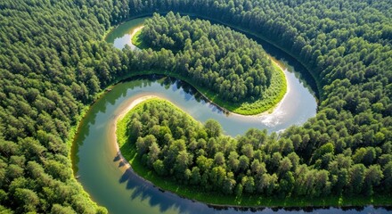 Winding river flowing through dense forest aerial view natural landscape photography tranquil environment