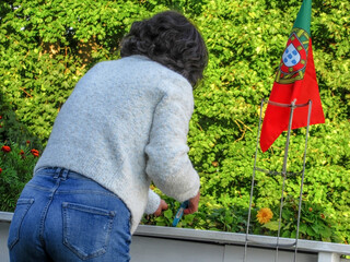 Fototapete bei efototapeten.de bestellen   