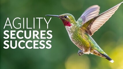 Fototapeta premium A vibrant hummingbird in mid-flight showcases nature's delicate beauty and dynamic energy.