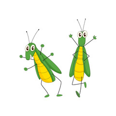 Two funny cartoon green grasshoppers dancing and jumping with joy on a white background
