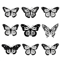 Butterfly Collection Graphic Art - Nature Insects
