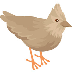 Cute Light Brown Bird With Orange Feet And Sharp Beak Standing On Transparent Background