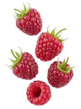 Ripe red raspberries floating isolated on a transparent background