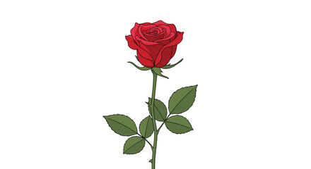 A single, vibrant red rose with green leaves and a stem on a white background.
