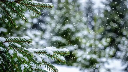 Gentle snowfall blankets lush evergreen branches creating a serene winter wonderland scene with soft bokeh lights creating a magical atmosphere ideal for holiday promotions and nature exploration