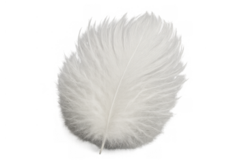 White feather floating, symbolizing lightness, freedom, softness, and purity, with a transparent background