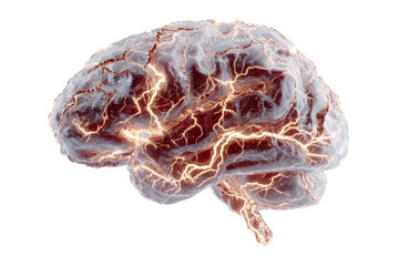 Brain Electrical Activity: An illuminated brain rendered with glowing electrical activity, symbolizing the intricate processes of thought and understanding.