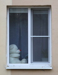 A white teddy bear is sitting on the windowsill