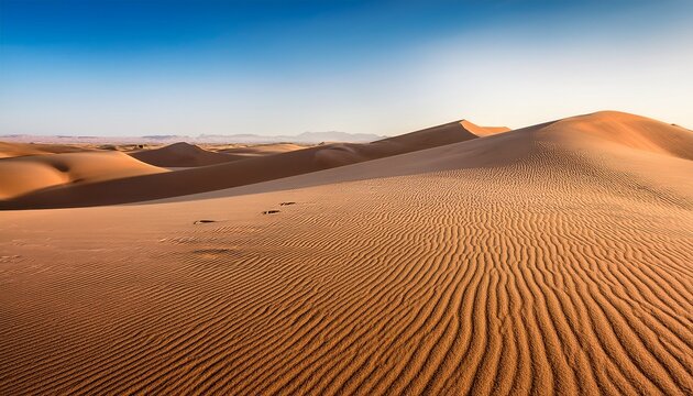 endless sand dunes in a desert landscape with smooth wavy patterns and fine grains