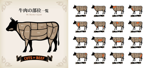 牛肉の部位の名称一覧　日本語表記