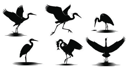 Silhouette collection of graceful herons in various flight and standing poses