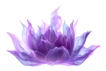 Ethereal Purple Lotus Flower Blooming in Translucent Light