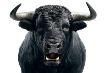 Fierce Black Bull with Golden Horns Charging Forward Aggressively