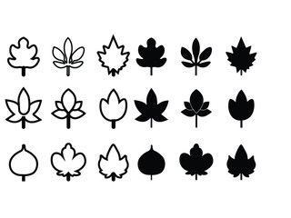 Collection of Diverse Botanical Leaf Silhouettes and Outline Shapes
