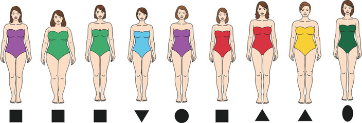 Collection of female body shapes, linking different body types to geometric forms like square, circle, and triangle, vector illustration set.