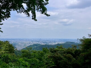
The cityscape from the top of the mountain 