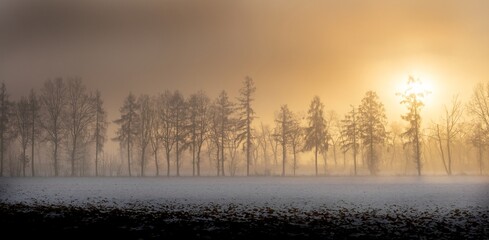 winter panorama with foggy sunrise behind a row of bare trees
