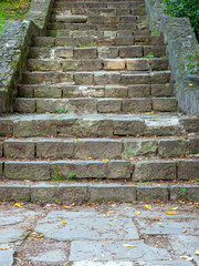 old stone steps in a natural setting, seen from a low frontal perspective, with moss and scattered leaves