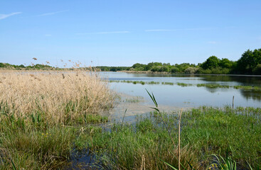 Etang de Beaumont