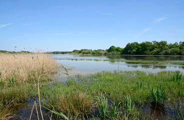 Etang de Beaumont