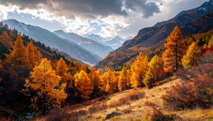 A scenic mountain valley adorned with trees in full autumn foliage, with distant snow-capped peaks under a cloudy sky.