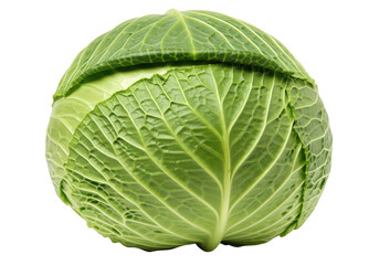 Fototapeta premium Whole Fresh Green Cabbage on Isolated Background | Healthy Vegetable for Cooking and Salad