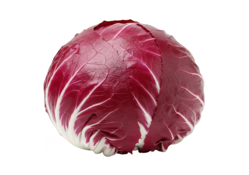 Whole Head of Fresh Radicchio | Isolated Red Italian Chicory for Gourmet Salad Ingredient
