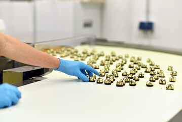 Production of pralines in a factory for the food industry