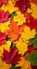 Fototapeta premium Colorful autumn leaves creating a vibrant natural carpet on the ground in a forest setting