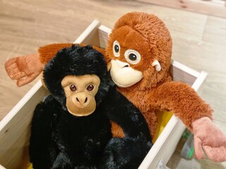 Plush Monkeys Sitting in Wooden Box – Cute Stuffed Animal Toys