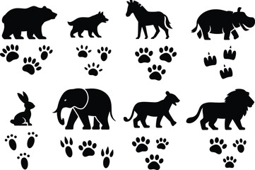 Animal footprints illustration, wildlife tracking, black and white sketch, bear, lion, elephant, rabbit, nature education, biology concept