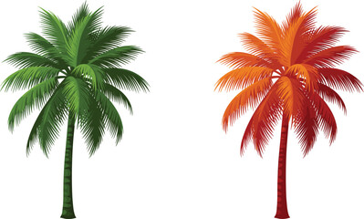 Palm tree, tropical foliage, seasonal contrast, green fronds, orange leaves, nature symmetry, exotic landscape, vector art, cad drawing, flat illustration