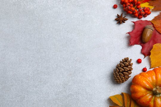 Beautiful autumn with pumpkin and autumn leaves on a grey background, top view