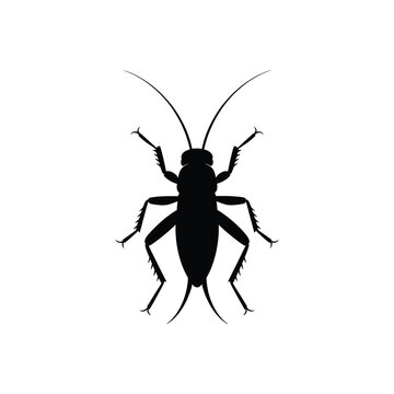 Black silhouette of a cricket on a white background