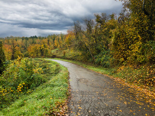 Countryside road curving through colorful autumn forest showing vibrant leaves wet pavement and cloudy sky creating calm natural atmosphere.